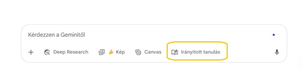 Gemini "Irányított tanulás"